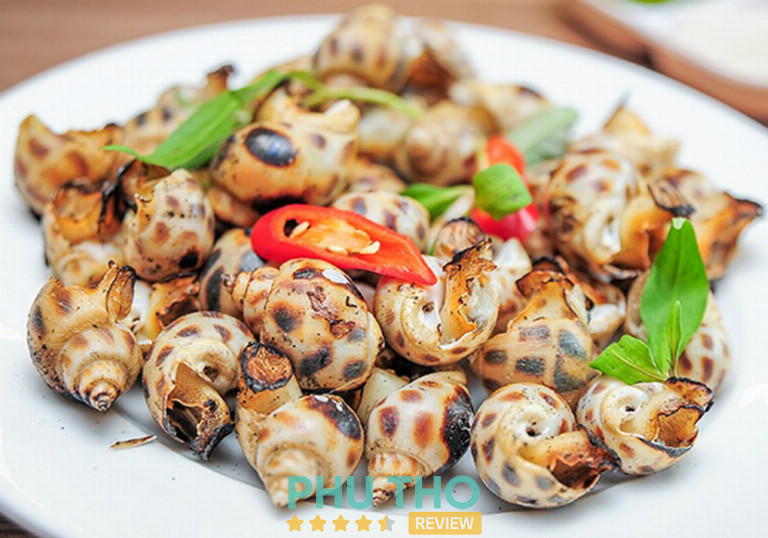 Ốc Tuấn Ao Vĩnh Phúc