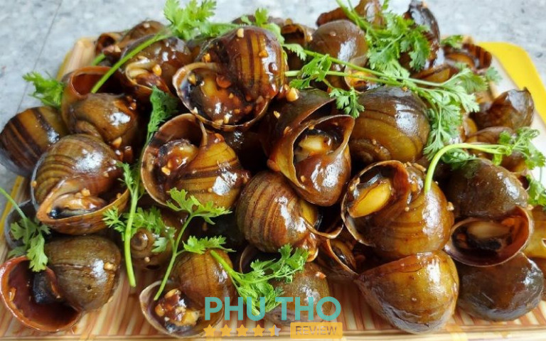 Ốc Tuấn Ao Vĩnh Phúc
